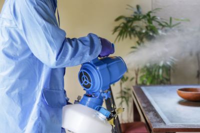 Fumigation Service in Long Island, NY