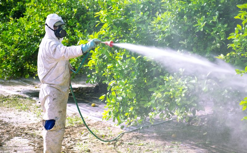 Fumigation Service in Fort Collins, CO