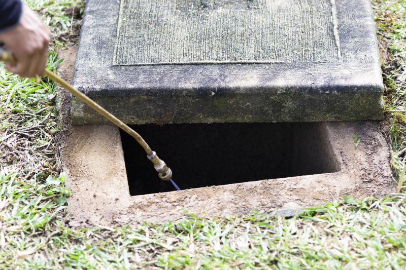 Pest Fumigation Service in Davis County, UT