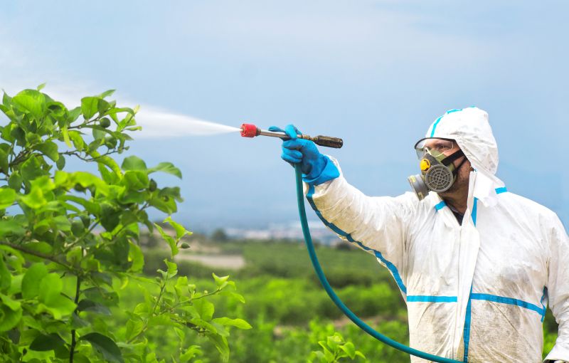 Spider Fumigation Service in Davis County, UT