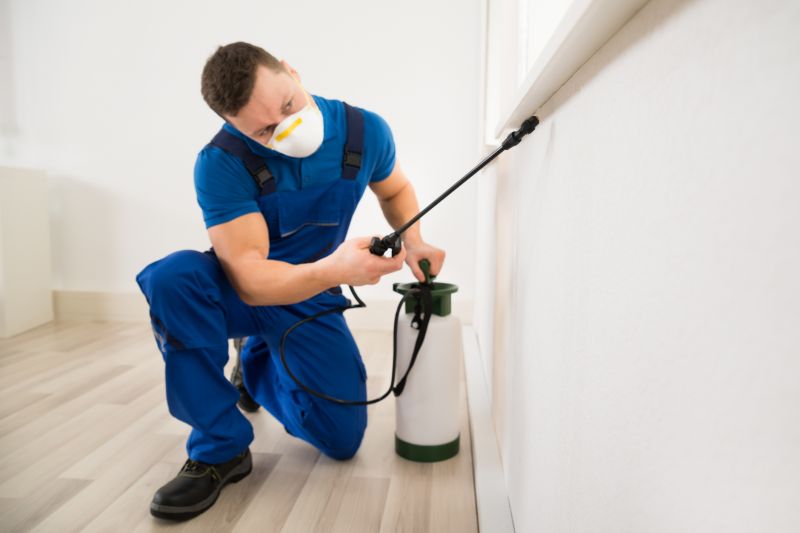Beetle Removal in Frisco, TX