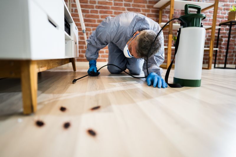 Carpet Beetle Extermination in Frisco, TX
