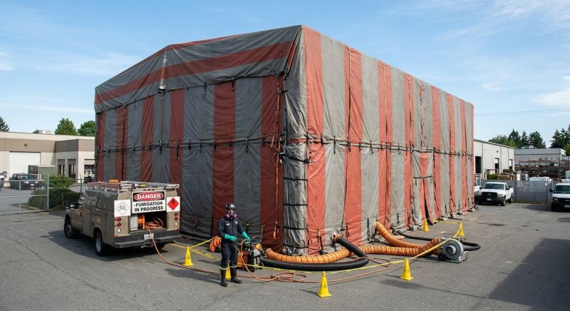 Commercial Fumigation in Tampa, FL