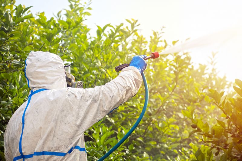 Commercial Fumigation in Fort Myers, FL