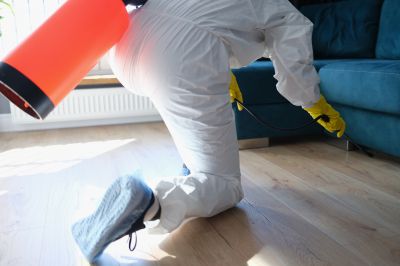 Fumigation Service in Bellingham, WA