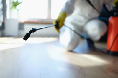 Pest Fumigation Service in Santa Fe, NM