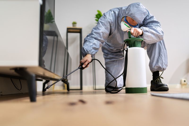 Rat Fumigation Service in Bellingham, WA