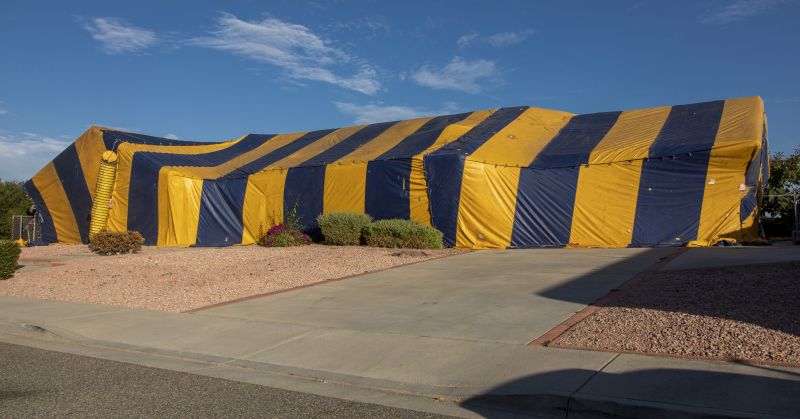 Tent Fumigation in Kalamazoo, MI