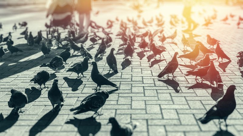 Scheduling for Optimal Results