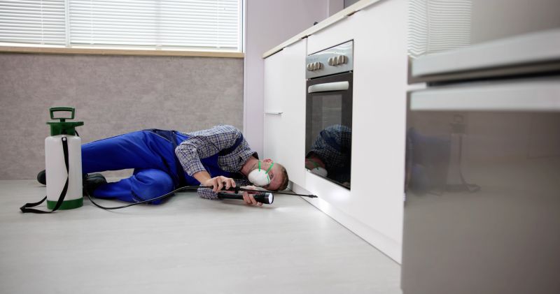 Property Inspection and Assessment